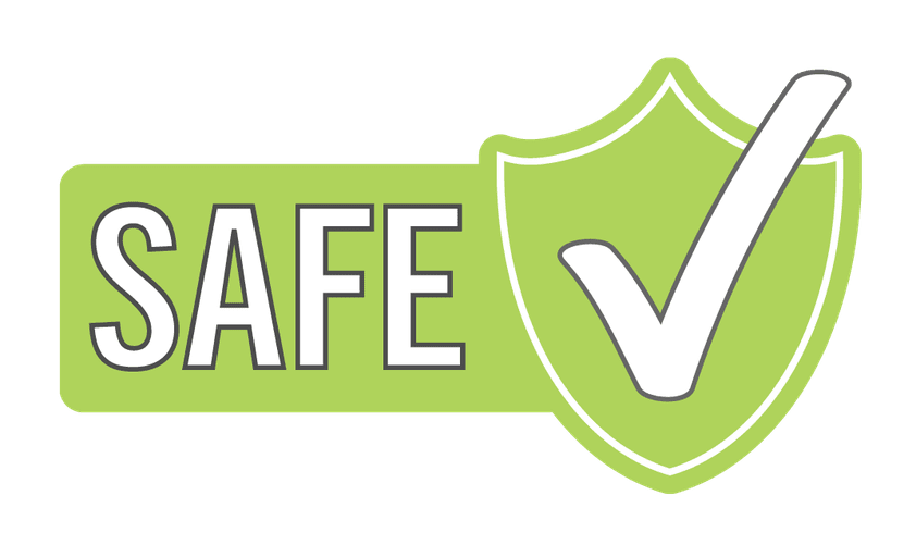 p5safe_logo.png